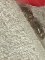 IMG_20220727_204749.jpg