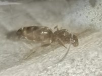 IMG_20220727_204816.jpg
