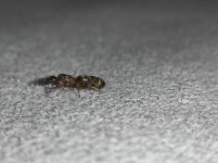 IMG_20220727_212456.jpg