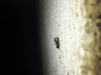 20220729_211120.jpg