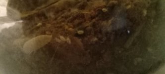 20220730_185611.jpg