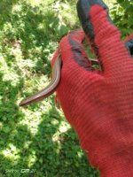 IMG_20220731_112112.jpg