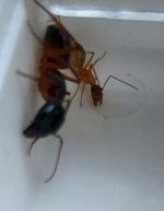 20220804_064515.jpg