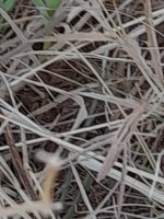 20220805_175031.jpg