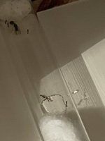 D1B9739B-2222-4969-B907-490096B1C8D2.jpeg
