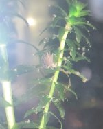 20220808_183123.jpg