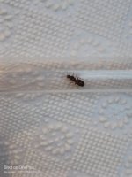 IMG20220808200338.jpg