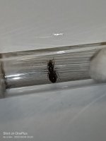 IMG20220808202929.jpg