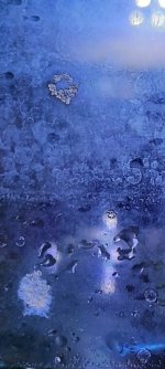 20220809_080745.jpg
