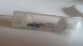 20220815_135434.jpg