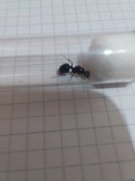 20220815_144223.jpg