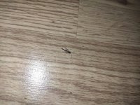 IMG_20220816_181342.jpg