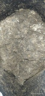 IMG_20220818_182839.jpg