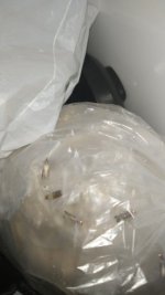 IMG_20220818_204712.jpg