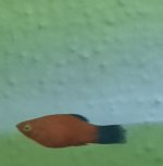 20220821_205926.jpg