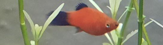 20220821_205730.jpg