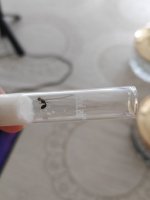 IMG_20220826_132503.jpg