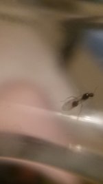 20220904_210610.jpg