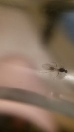 20220904_210616.jpg