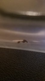 20220904_212841.jpg