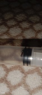 IMG_20220905_132904.jpg