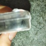 IMG_20220907_132318.jpg