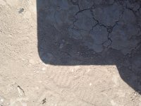 IMG_20220908_121918_1.jpg
