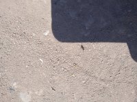 IMG_20220908_121916_1.jpg