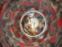 IMG_20220908_162419.jpg