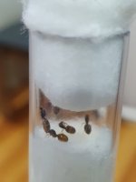 20220914_194646.jpg