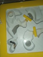 IMG_20220911_191348.jpg