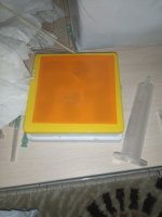 IMG_20220911_191341.jpg