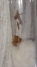 20220924_143712.jpg