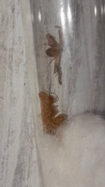 20220924_143705.jpg