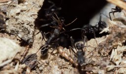 Ekran görüntüsü 2022-09-24 183633.jpg