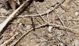 Ekran görüntüsü 2022-09-24 183805.jpg