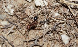 Ekran görüntüsü 2022-09-24 184316.jpg