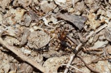 Ekran görüntüsü 2022-09-24 184435.jpg