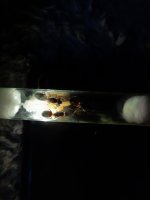 20220925_161902.jpg