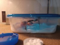 20220928_183829.jpg