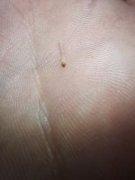 20221105_223709.jpg