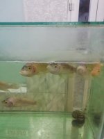 IMG_20221011_184453.jpg