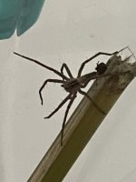 56E54501-6F0F-44DA-929D-A33FF39558C3.jpeg