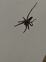 86506254-2C41-480C-A969-74729F46BC3C.jpeg