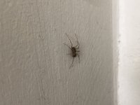 2C91554D-AB05-4697-BE4A-5E36003D8368.jpeg