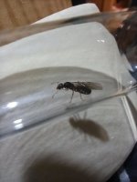 IMG_20220226_214038.jpg
