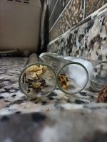 IMG_20220126_042723.jpg