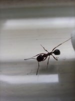 IMG_20220119_134501.jpg