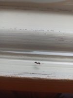 IMG_20220119_134139.jpg