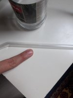 pipet karınca.jpeg